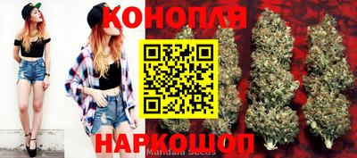 молекула духа Коммунар